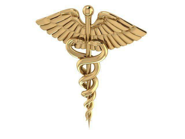 Caduceus Medical Pendant *10k/14k/18k White, Yellow, Rose Green Gold, Gold Plated & Silver* Doctor Nurse Paramedic First Aid Charm Necklace | Loni Design Group |   | Men's jewelery|Mens jewelery| Men's pendants| men's necklace|mens Pendants| skull jewelry|Ladies Jewellery| Ladies pendants|ladies skull ring| skull wedding ring| Snake jewelry| gold| silver| Platnium|